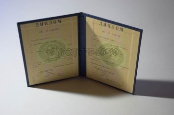 Диплом о Высшем Образовании Узбекской ССР в Нижнем Тагиле