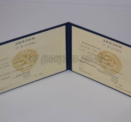 Диплом Техникума Украинской ССР в Нижнем Тагиле
