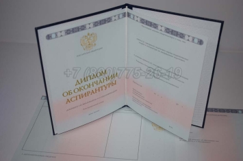 Диплом Аспирантуры 2024г в Нижнем Тагиле