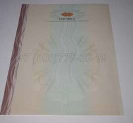 Академическая Справка ВУЗа 2014г в Нижнем Тагиле