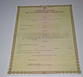 Свидетельство об Установлении Отцовства 2018г в Нижнем Тагиле