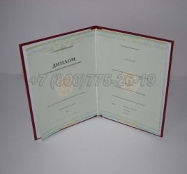 Диплом о Переподготовке 2023г СпецБланк в Нижнем Тагиле