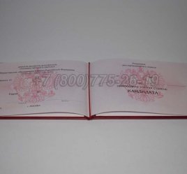 Диплом Кандидата Наук 2014г в Нижнем Тагиле