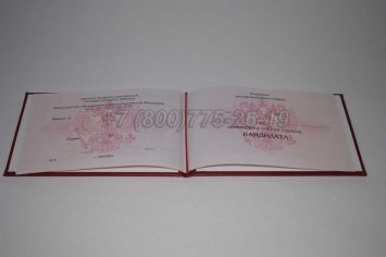 Диплом Кандидата Наук 2014г в Нижнем Тагиле
