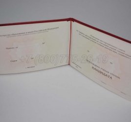 Диплом Кандидата Наук 2017г в Нижнем Тагиле