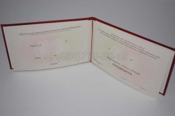 Диплом Кандидата Наук 2017г в Нижнем Тагиле