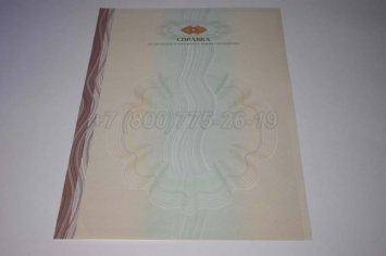 Академическая Справка ВУЗа 2015г в Нижнем Тагиле