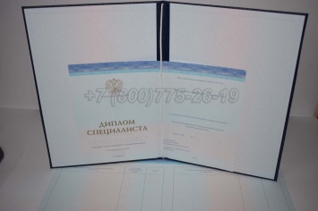 Диплом о Высшем Образовании 2024г СпецБланк в Нижнем Тагиле