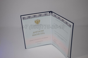 Диплом Магистра 2024г ООО "Знак" в Нижнем Тагиле