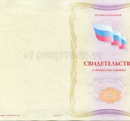 Свидетельство о Профессии Рабочего "Автоклавщик литья под давлением" в Нижнем Тагиле