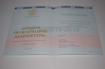 Диплом Адъюнктуры 2024г в Нижнем Тагиле
