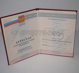 Аттестат За 11 Класс 2011г Серебро в Нижнем Тагиле