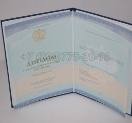 Диплом Техникума 2022г СпецБланк в Нижнем Тагиле
