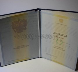 Диплом Института 2010г в Нижнем Тагиле