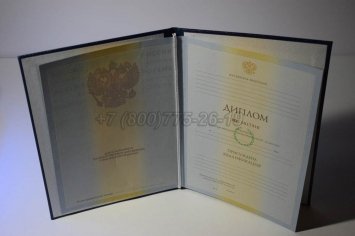 Диплом Института 2010г в Нижнем Тагиле