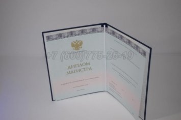 Диплом Магистра 2018г ООО "Знак" в Нижнем Тагиле