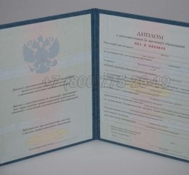 Диплом MBA 2023г в Нижнем Тагиле