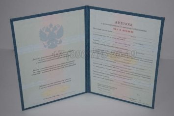 Диплом MBA 2023г в Нижнем Тагиле