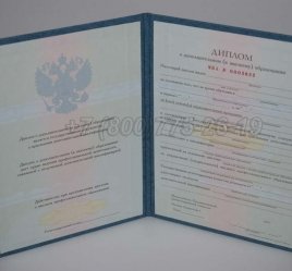 Диплом MBA 2018г в Нижнем Тагиле