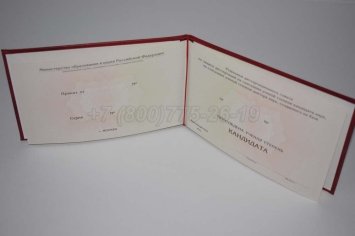 Диплом Кандидата Наук 2023г в Нижнем Тагиле