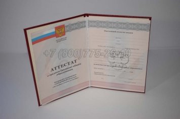 Аттестат За 11 Класс 2012г Серебро в Нижнем Тагиле