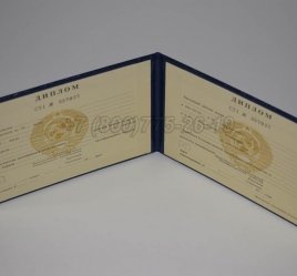 Диплом Техникума Киргизской ССР в Нижнем Тагиле