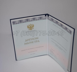 Диплом Магистра 2025г ООО "Знак" в Нижнем Тагиле