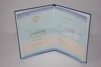 Диплом Техникума 2018г СпецБланк в Нижнем Тагиле
