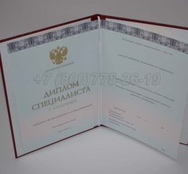 Красный Диплом о Высшем Образовании 2023г ООО "Знак" в Нижнем Тагиле