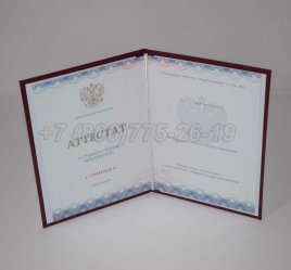 Аттестат За 11 Класс 2020г Золото ГОЗНАК в Нижнем Тагиле
