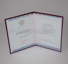Аттестат За 11 Класс 2024г Золото ГОЗНАК в Нижнем Тагиле