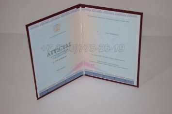 Аттестат За 11 Класс 2023г Золото СпецБланк в Нижнем Тагиле