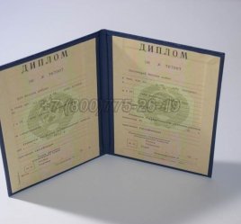 Диплом о Высшем Образовании Украинской ССР в Нижнем Тагиле