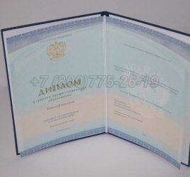 Диплом Техникума 2023г СпецБланк в Нижнем Тагиле