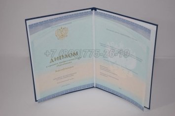 Диплом Техникума 2023г СпецБланк в Нижнем Тагиле